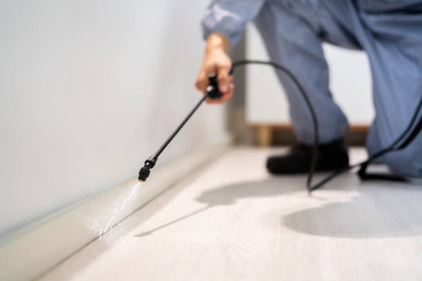 Licensed Rodent Control service in Preakness, NJ - Nex Pest Control