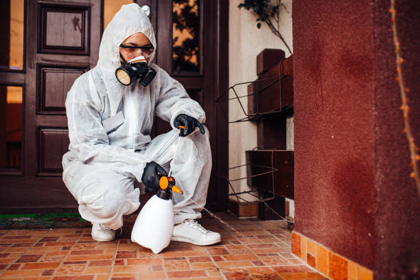 Reliable Rodent Control contractor in Preakness, NJ by Nex Pest Control